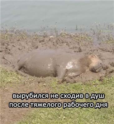 اما خوب خوابیدم